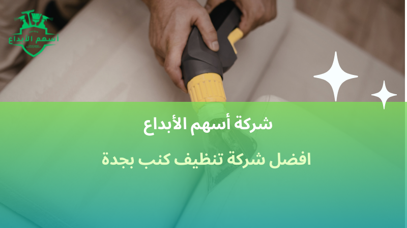 أهمية تنظيف الكنب بانتظام