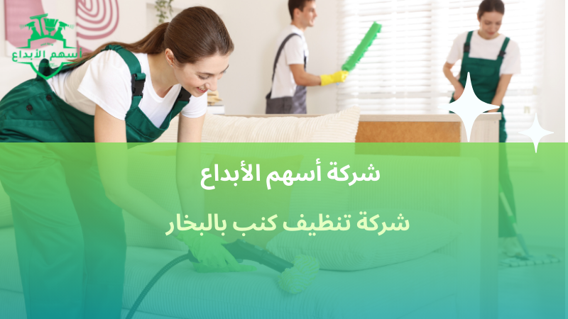 شركة تنظيف كنب بالبخار