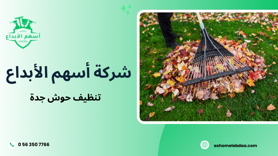 تنظيف حوش جدة